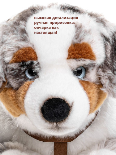 20068 Игрушка мягконабивная Австралийская овчарка  60 см фото 5