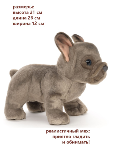 20034N Игрушка мягконабивная Французский бульдог серый 23см фото 2
