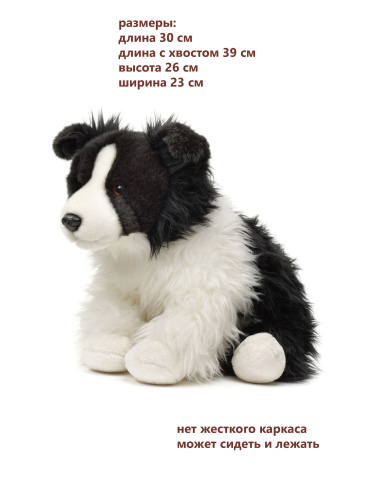 21535 Игрушка мягконабивная Бордер Колли 30 см фото 5