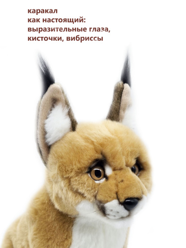 30004 Игрушка мягконабивная Каракал, 27 см фото 3