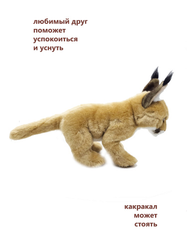 30004 Игрушка мягконабивная Каракал, 27 см фото 5