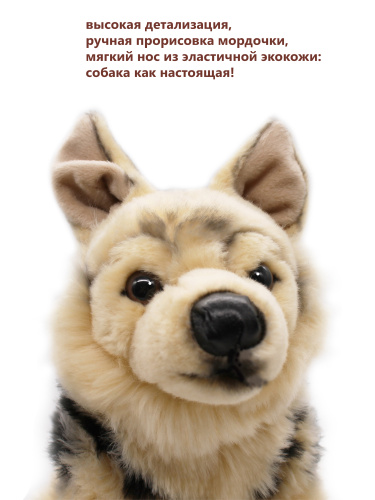 32314A Игрушка мягконабивная Собаки сидящие 30 см (ретривер, берн, овчарка) фото 18