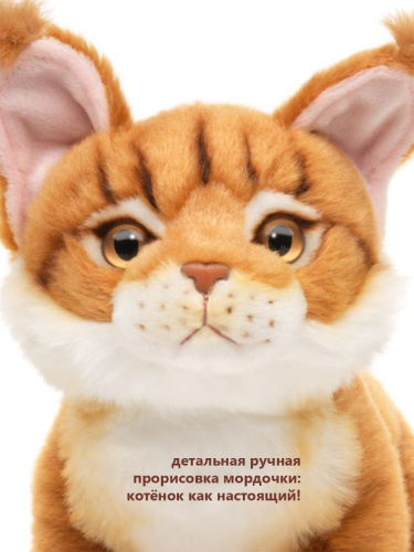 19A25 Игрушка мягконабивная Котенок Мейн Куна 19см фото 8
