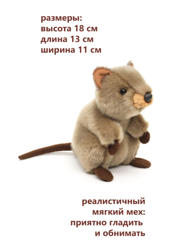 18125HDS Игрушка мягконабивная Шитцу 18см абрикосовый фото 4