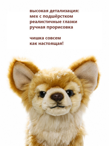 22292А Игрушка мягконабивная Чихуахуа 17см фото 7