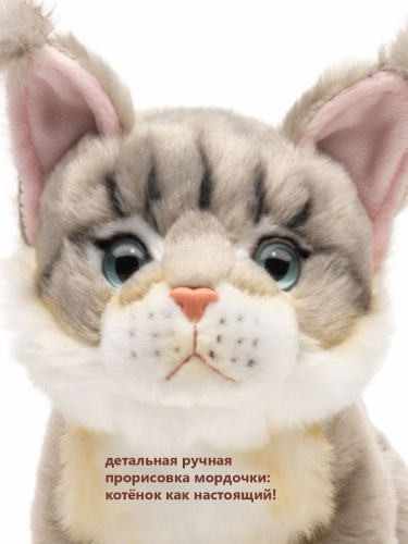 19A25 Игрушка мягконабивная Котенок Мейн Куна 19см фото 7