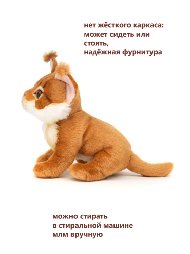 19A25 Игрушка мягконабивная Котенок Мейн Куна 19см фото 6