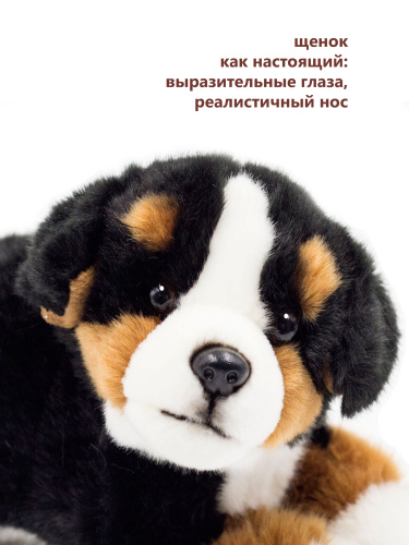 21484 Игрушка мягконабивная Бернский зенненхунд леж. 23 см фото 4