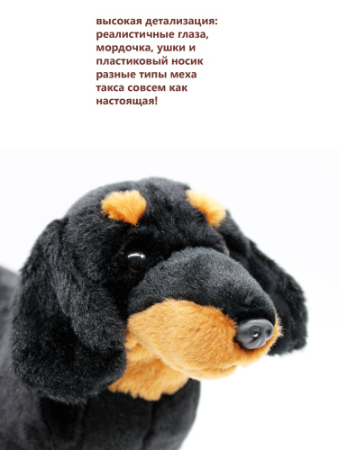 20144R Игрушка мягконабивная Такса 28 см фото 4