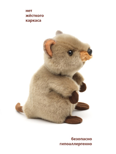 18125HDS Игрушка мягконабивная Шитцу 18см абрикосовый фото 7
