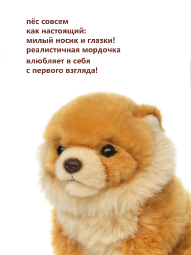 20342 Игрушка мягконабивная Шпиц 18 см фото 2