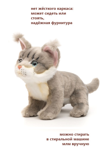 19A25 Игрушка мягконабивная Котенок Мейн Куна 19см фото 5