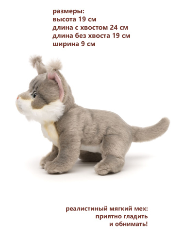 19A25 Игрушка мягконабивная Котенок Мейн Куна 19см фото 3
