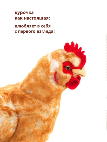 70605R Игрушка мягконабивная Курица 33 см фото 3