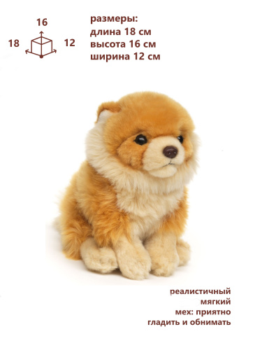 20342 Игрушка мягконабивная Шпиц 18 см фото 4