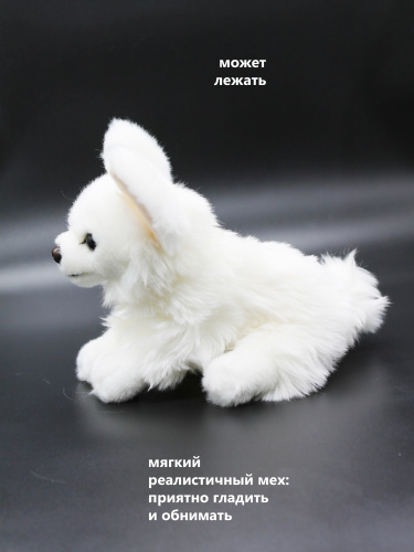 22292А Игрушка мягконабивная Чихуахуа 17см фото 12