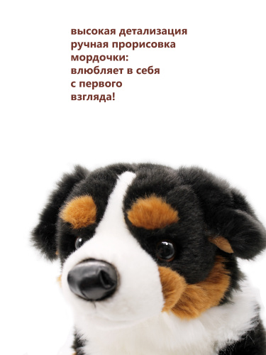 32314A Игрушка мягконабивная Собаки сидящие 30 см (ретривер, берн, овчарка) фото 12