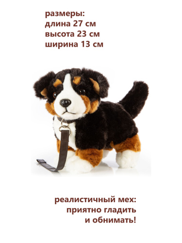 62433 Игрушка мягконабивная Берн 23см фото 3
